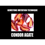 Faux Condor Agate bundle